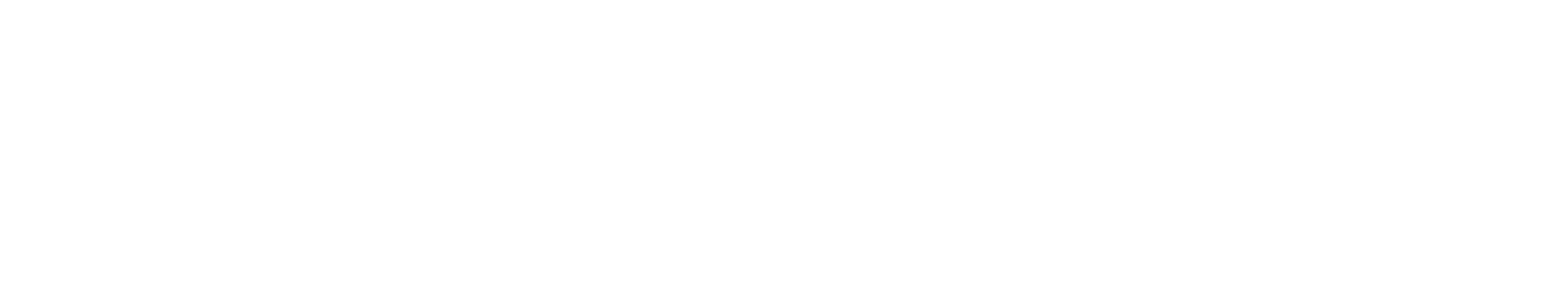 Veertuo